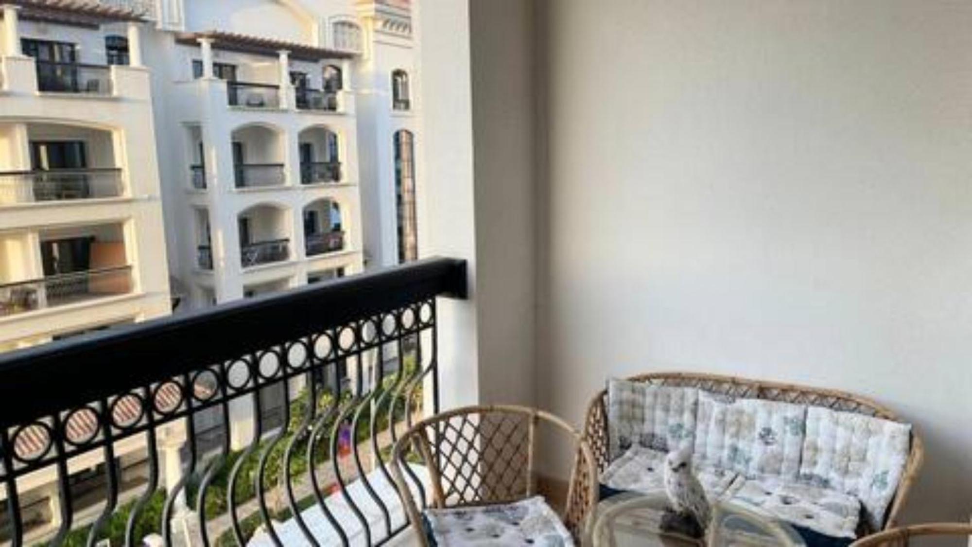 Yas Island Oasis Getaway 1br Amazon Apartment Abu Dhabi